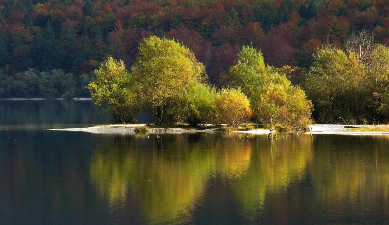 Apartma Znidar Bohinj